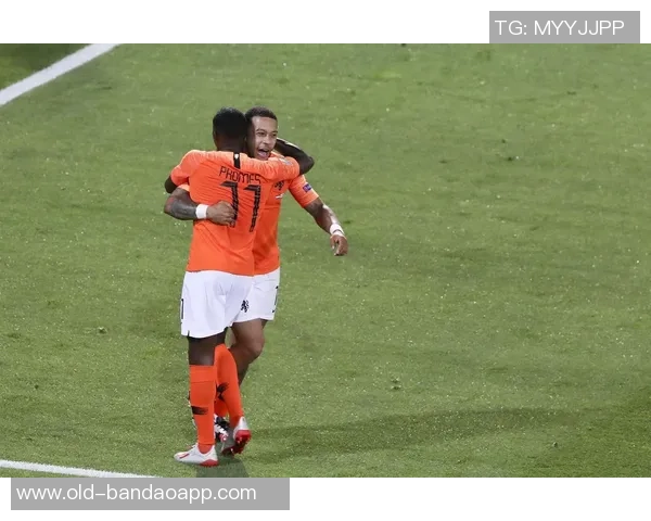 荷兰足球创意花束的独特魅力与设计灵感探索