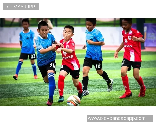 足球知识问卷调查：了解你对足球的热爱与认知程度